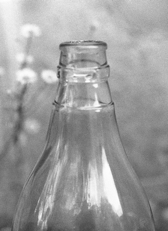 Bottle Series II